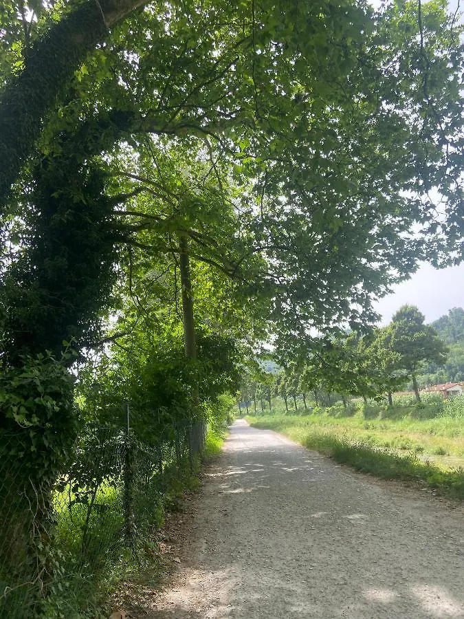 Tenerisognidori Camaiore Italien